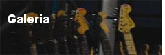 galeria Galeria